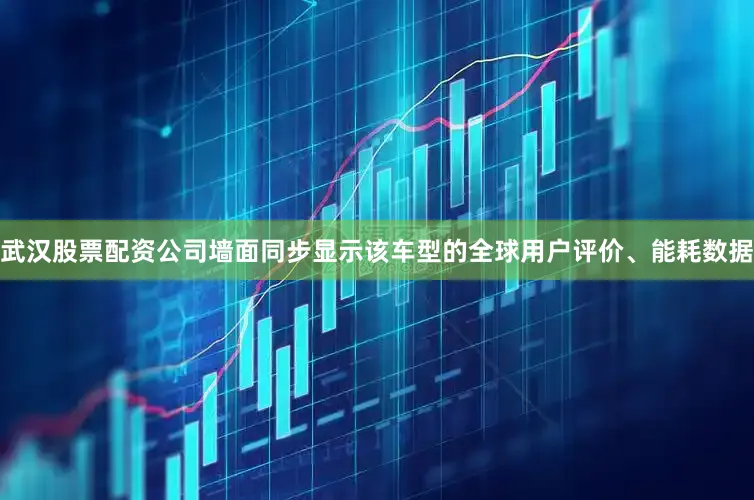 武汉股票配资公司墙面同步显示该车型的全球用户评价、能耗数据