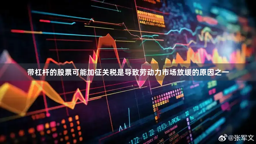 带杠杆的股票可能加征关税是导致劳动力市场放缓的原因之一