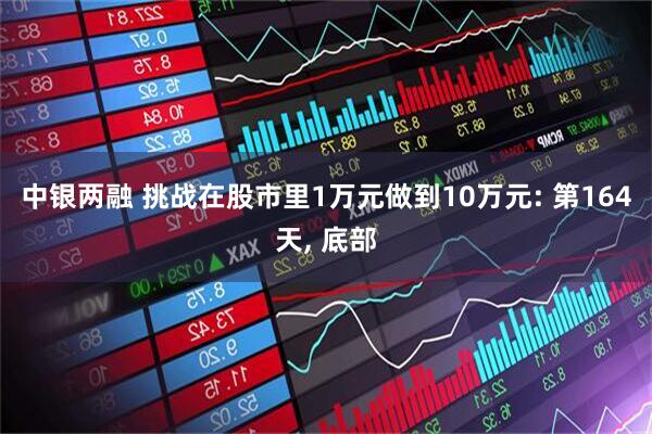 中银两融 挑战在股市里1万元做到10万元: 第164天, 底部