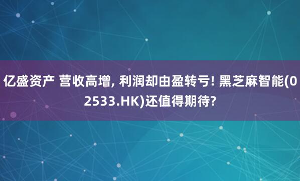 亿盛资产 营收高增, 利润却由盈转亏! 黑芝麻智能(02533.HK)还值得期待?