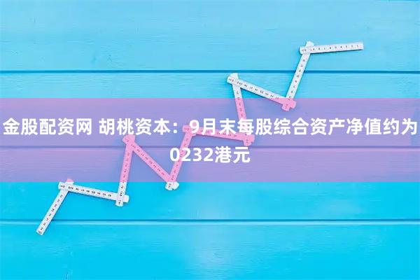 金股配资网 胡桃资本：9月末每股综合资产净值约为0232港元