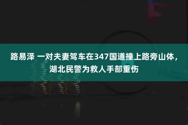路易泽 一对夫妻驾车在347国道撞上路旁山体，湖北民警为救人手部重伤