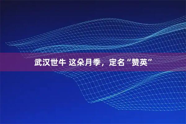 武汉世牛 这朵月季,定名“赞英”