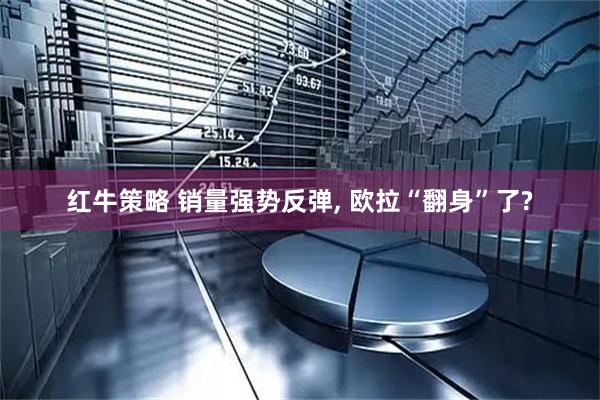 红牛策略 销量强势反弹, 欧拉“翻身”了?