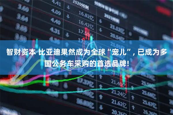 智财资本 比亚迪果然成为全球“宠儿”, 已成为多国公务车采购的首选品牌!